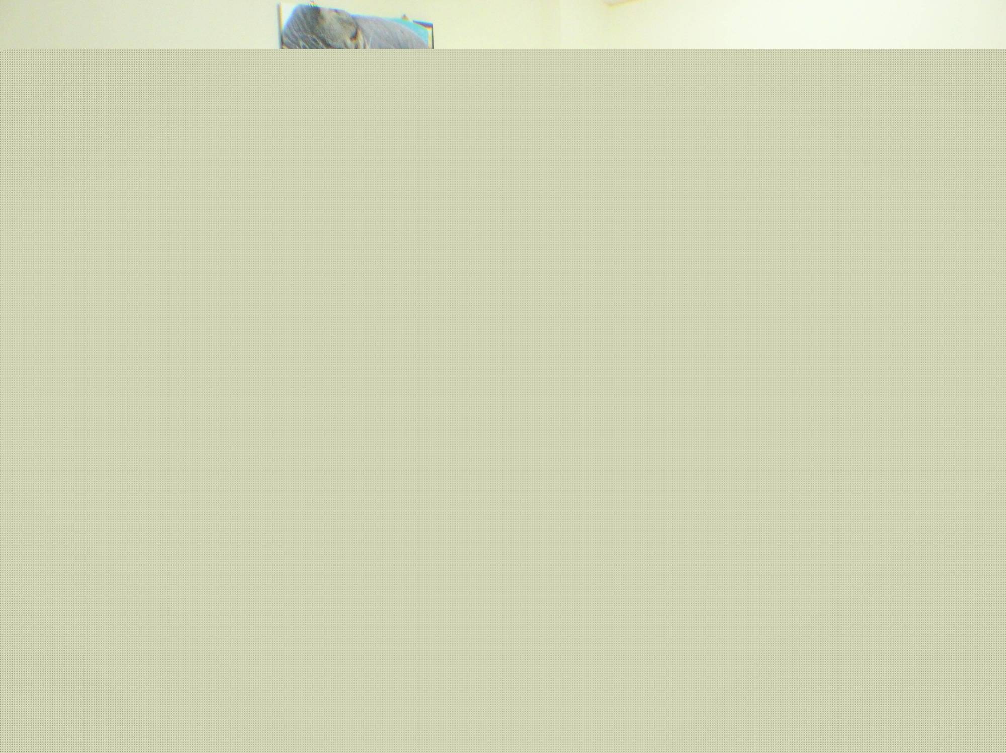 위시드림 B&B 동강 외부 사진